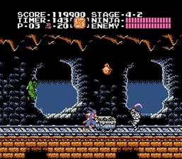 Ninja Gaiden