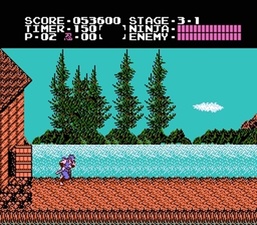 Ninja Gaiden