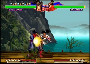 Ninja Master's