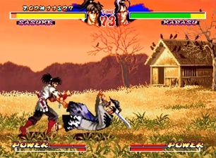 Ninja Master's