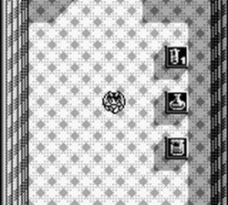 Penta Dragon