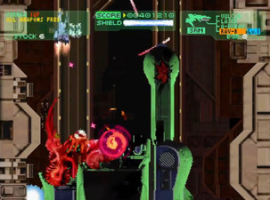 Philosoma