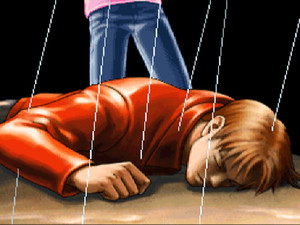 Phoenix Wright: Ace Attorney - Trials and Tribulations