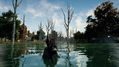PlayerUnknown's Battlegrounds