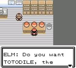 Pokémon Versione Oro e Versione Argento