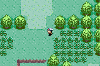 Pokémon Versione Rubino e Versione Zaffiro
