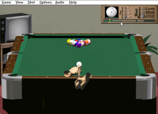 Pool Champion