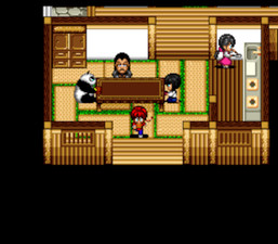 Ranma ½: Akaneko-dan teki Hihou