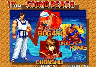 Real Bout Fatal Fury