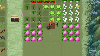 Rune Factory 3