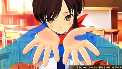 Senran Kagura Reflexions