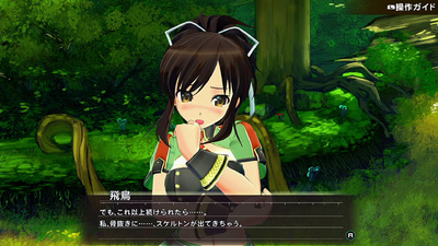 Senran Kagura Reflexions