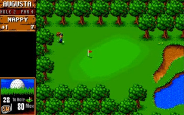 Sensible Golf