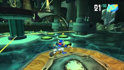 Sly Raccoon