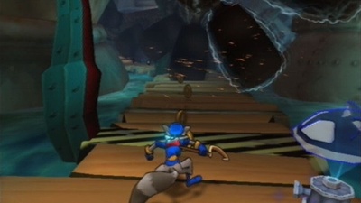 Sly Raccoon