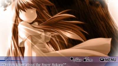 Snow Sakura
