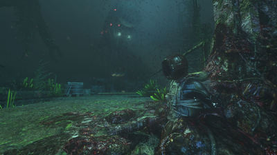 Soma
