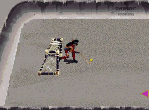Street Hockey '95