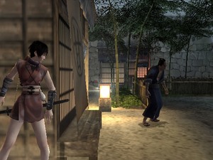 Tenchu: Fatal Shadows