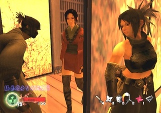 Tenchu: Wrath of Heaven