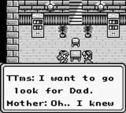 The Final Fantasy Legend II