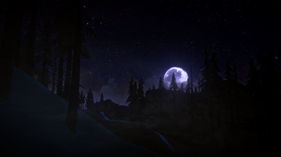 The Long Dark