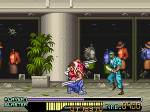 The Ninja Warriors