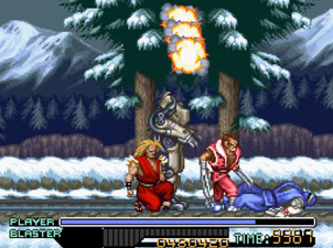 The Ninja Warriors
