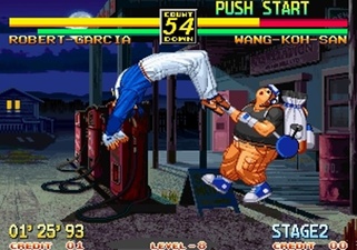 The Path of the Warrior: Art of Fighting 3