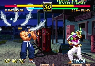 The Path of the Warrior: Art of Fighting 3