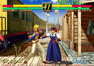 The Path of the Warrior: Art of Fighting 3