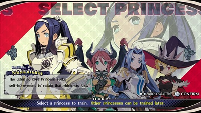 The Princess Guide