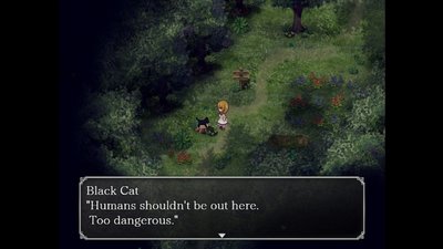 The Witch's House