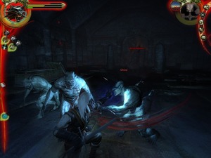 The Witcher