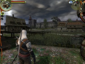 The Witcher