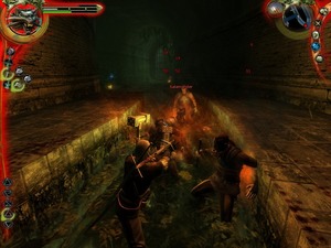 The Witcher