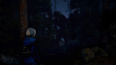 Through the Woods