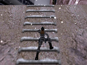 Tomb Raider: Chronicles