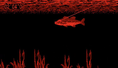 Virtual Fishing