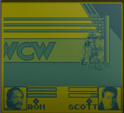 WCW: The Main Event