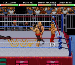 WWF Raw