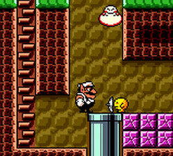 Wario Land 3