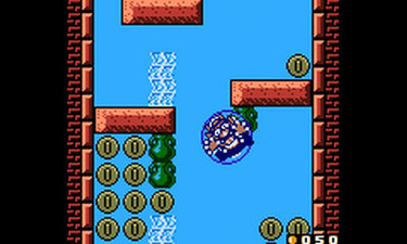 Wario Land II