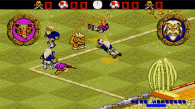 Wild Cup Soccer