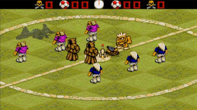 Wild Cup Soccer
