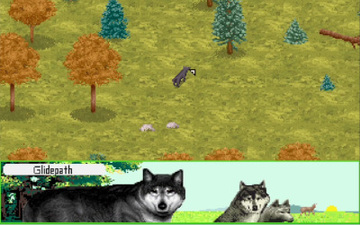 Wolf