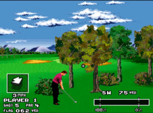 World Masters Golf