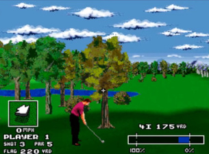 World Masters Golf