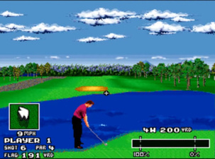 World Masters Golf