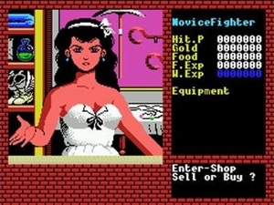 Xanadu: Dragon Slayer II